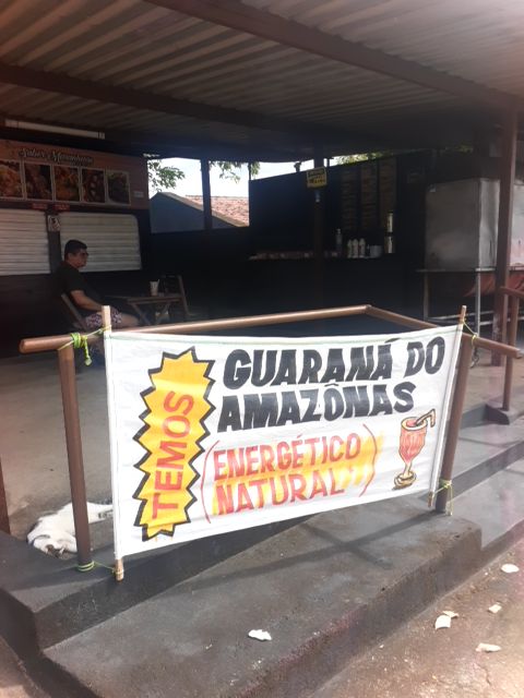 GUARANÁ DO AMAZONAS